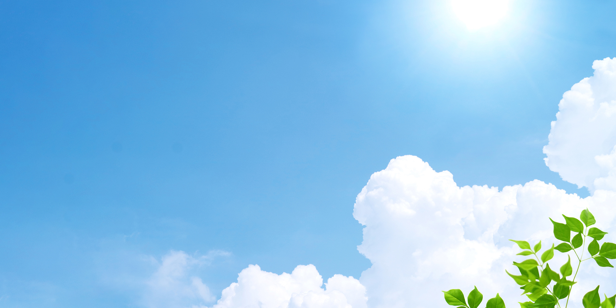 有限会社浪江コンサルタント